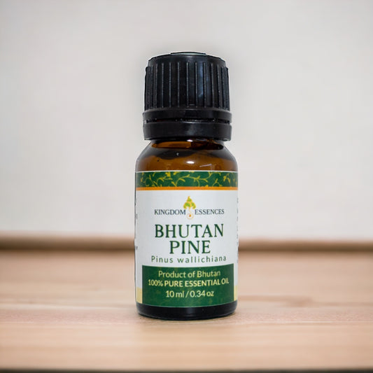 Pine Essential Oil
