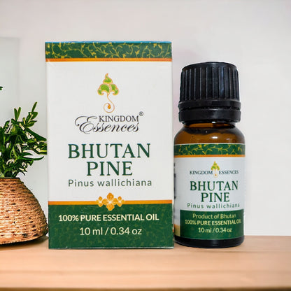Pine Essential Oil