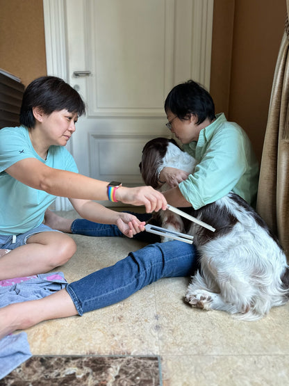 Sound Healing – Private Individual Session