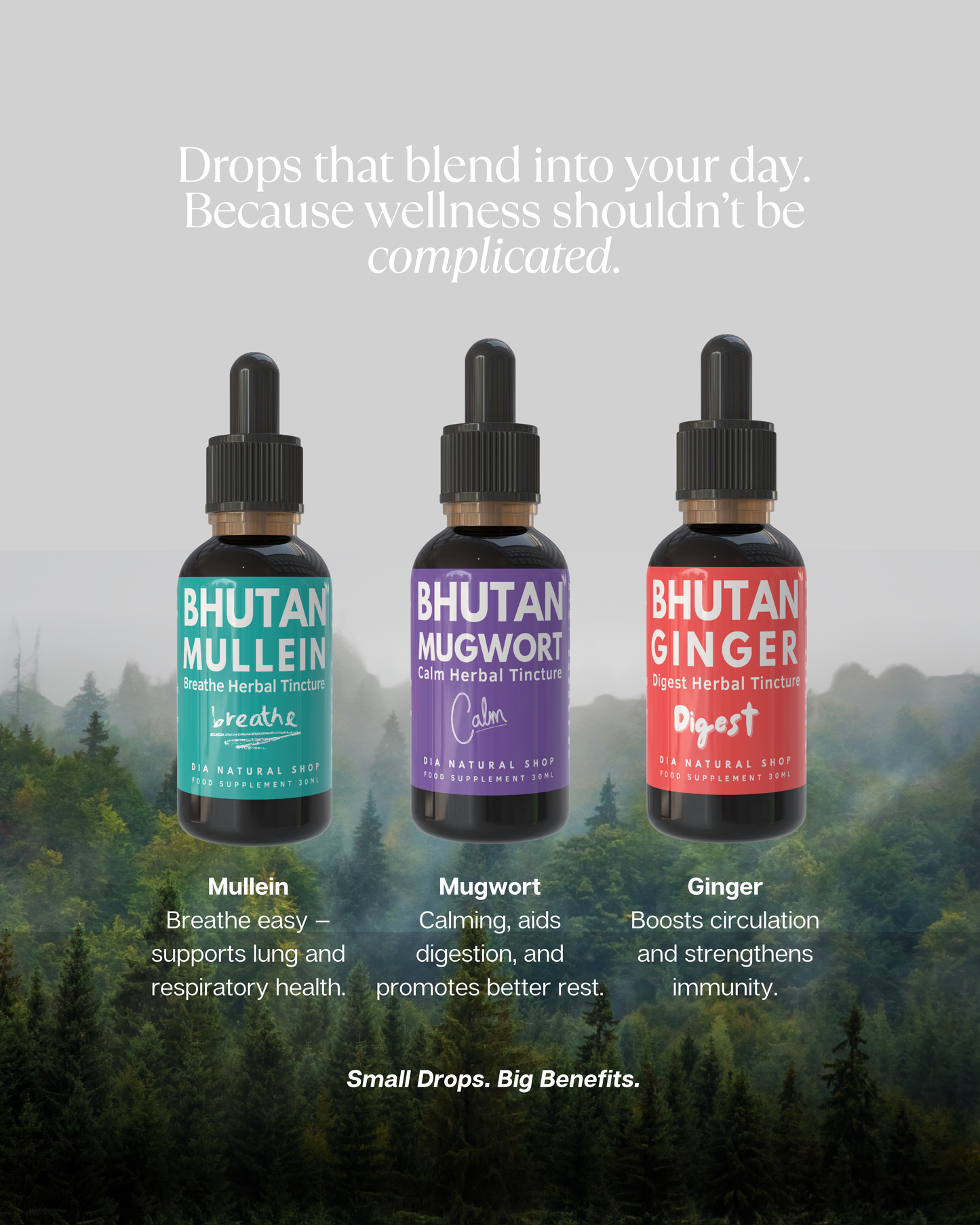 Bhutan Mullein Tincture (Apple Cider Vinegar-Based)