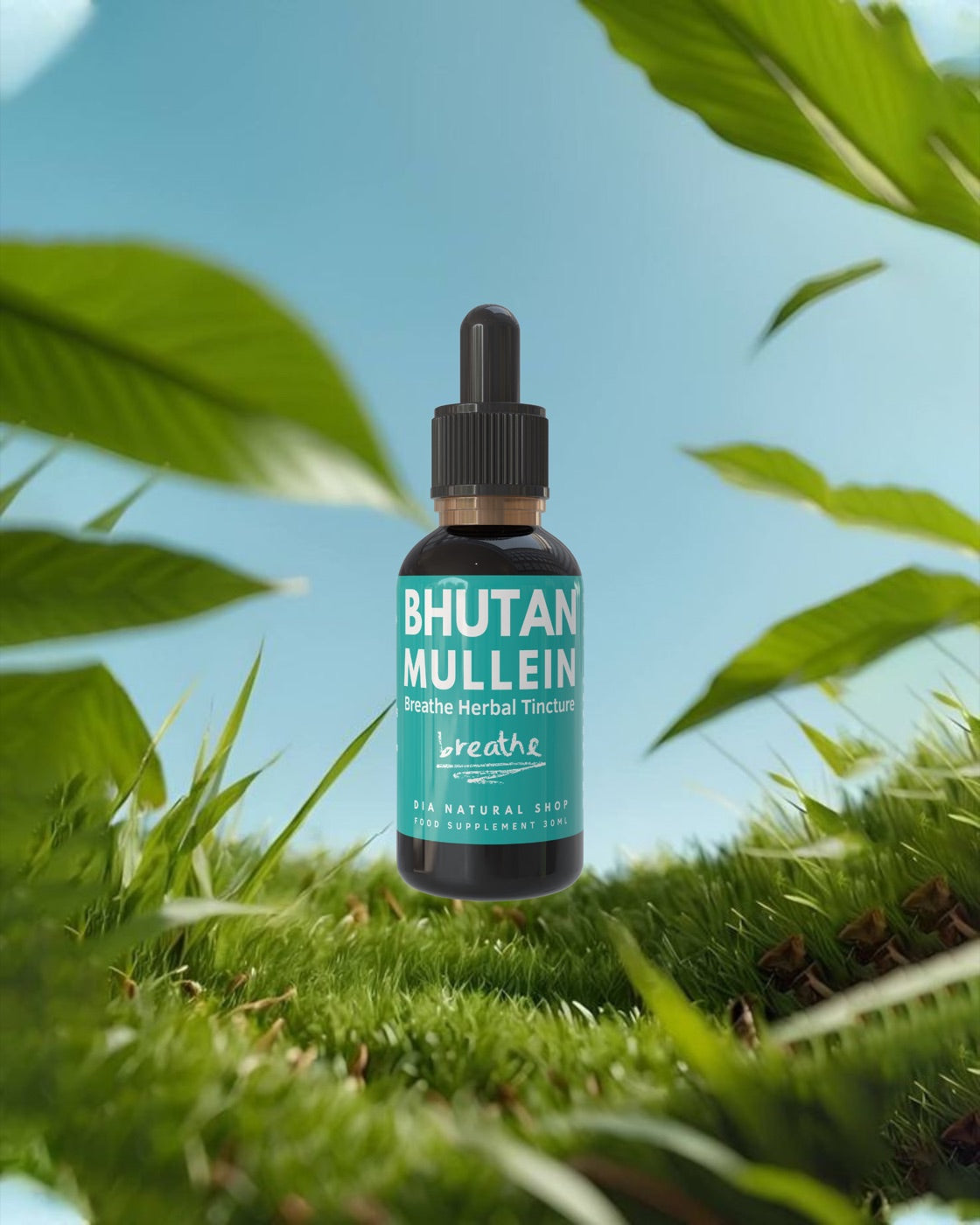 Botanical Tinctures